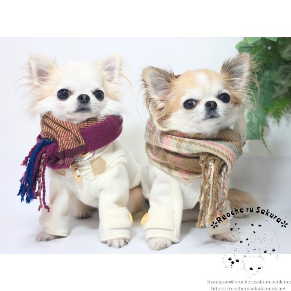 画像13: わんこマフラー (13)