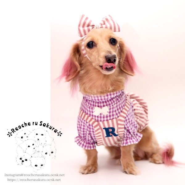 画像17: おそろいカチューシャ (17)