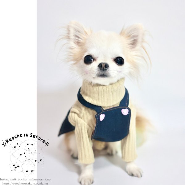 画像14: タートルニット (14)