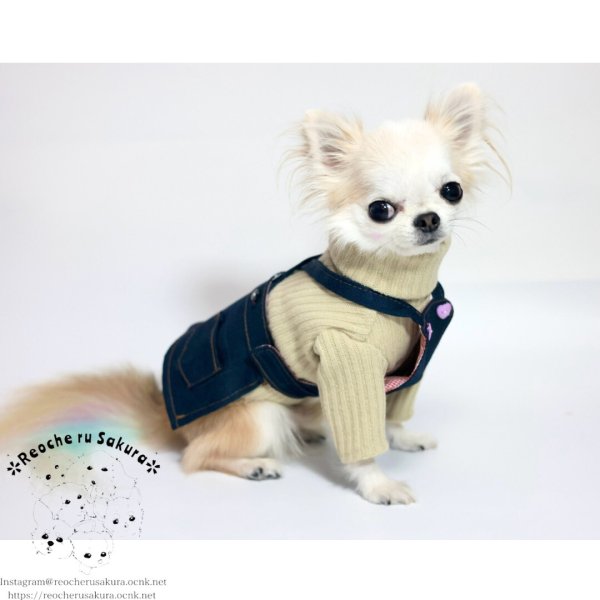 画像15: タートルニット (15)