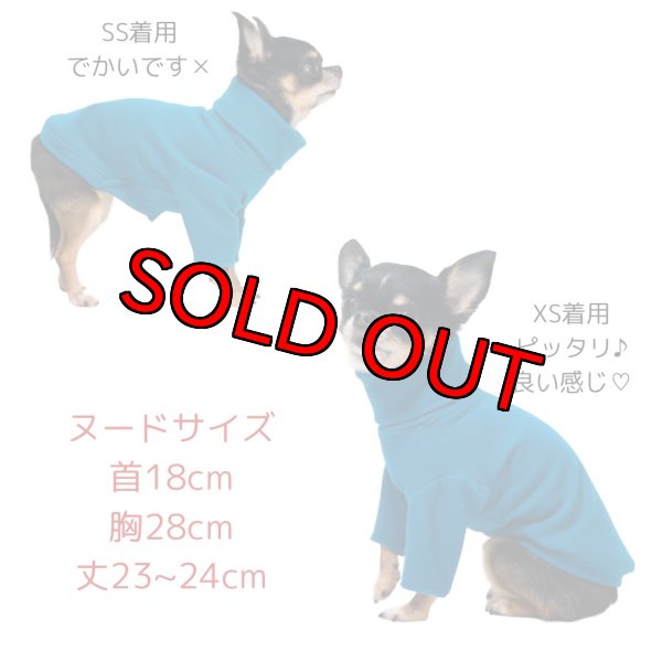 画像9: ターコイズタートルニット (9)