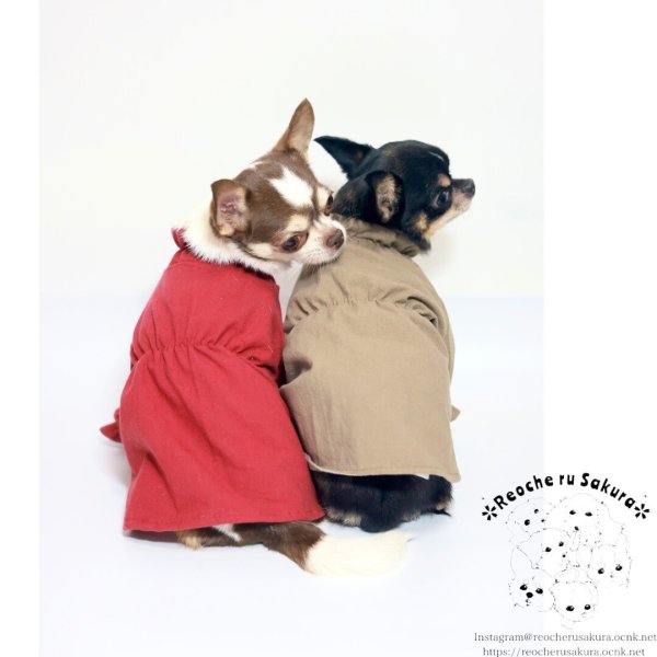 画像6: くすみカラーチュニック (6)