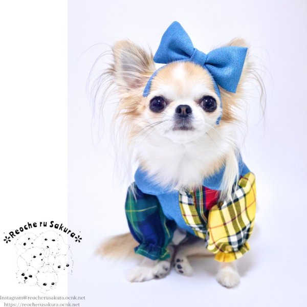 画像8: タータンデニムシャツ‪‪＆ブラウス (8)