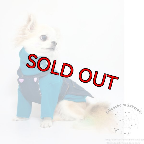 画像6: ターコイズタートルニット (6)