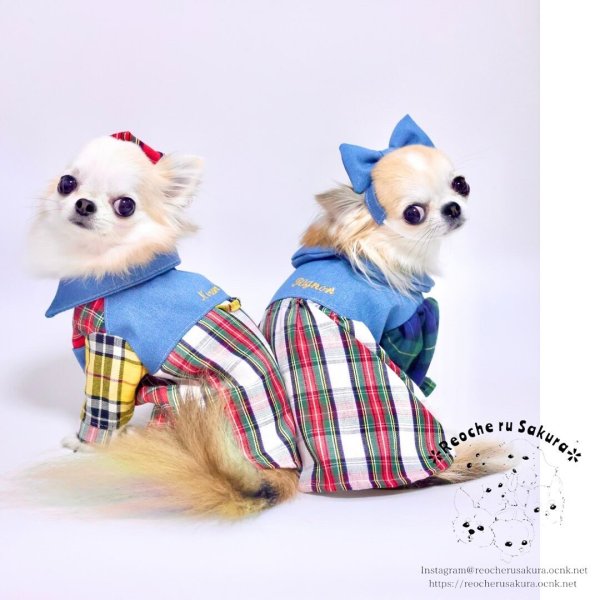 画像13: タータンデニムシャツ‪‪＆ブラウス (13)