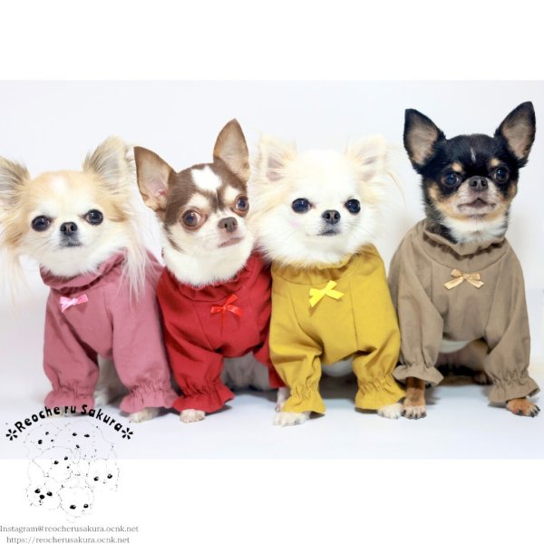 画像5: くすみカラーチュニック (5)