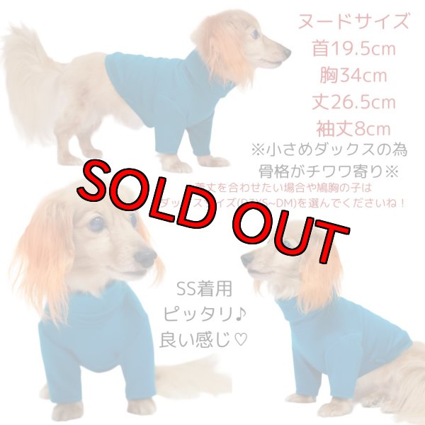 画像7: ターコイズタートルニット (7)