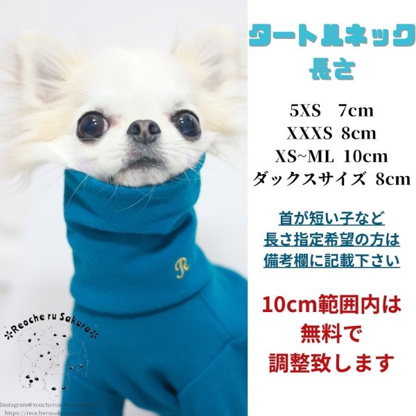 画像3: タートルニット (3)