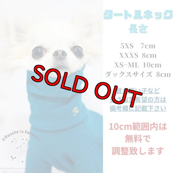 画像10: ターコイズタートルニット (10)