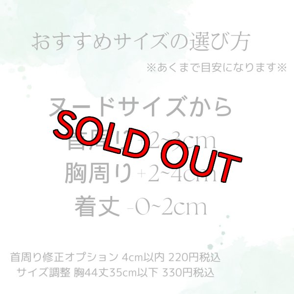 画像23: ラブリーガールブラウス&シャツ (23)