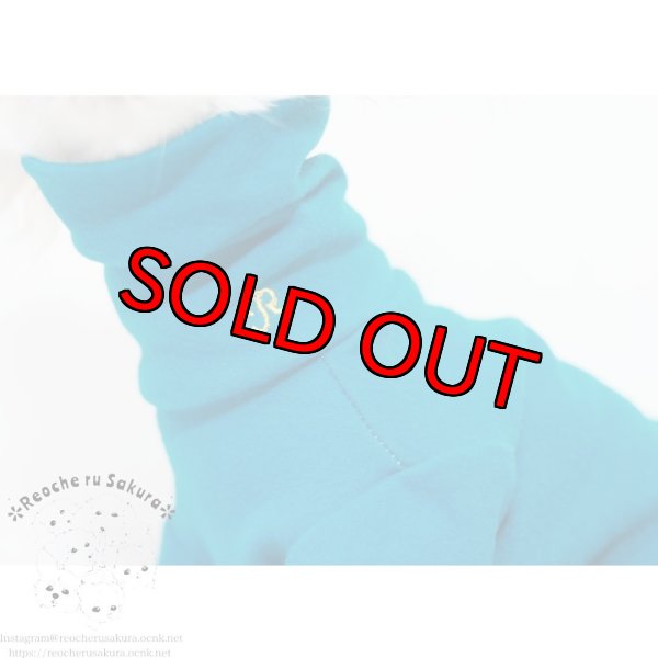 画像2: ターコイズタートルニット (2)