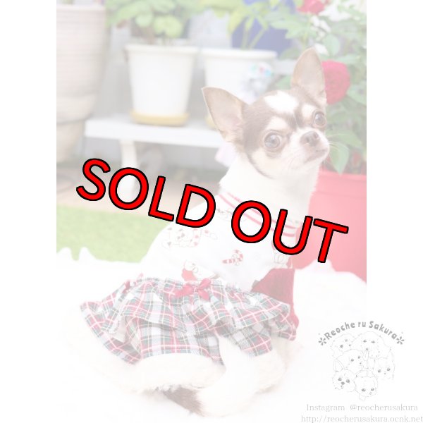 画像10: 冬の仲間たち🐰🐻ペアルック🎄🎁🎅🌟 (10)