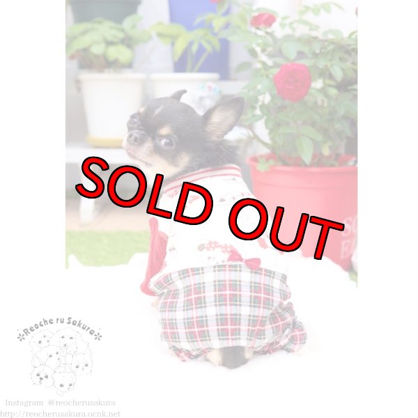 画像11: 冬の仲間たち🐰🐻ペアルック🎄🎁🎅🌟 (11)