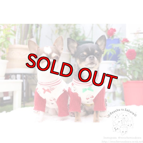 画像6: 冬の仲間たち🐰🐻ペアルック🎄🎁🎅🌟 (6)