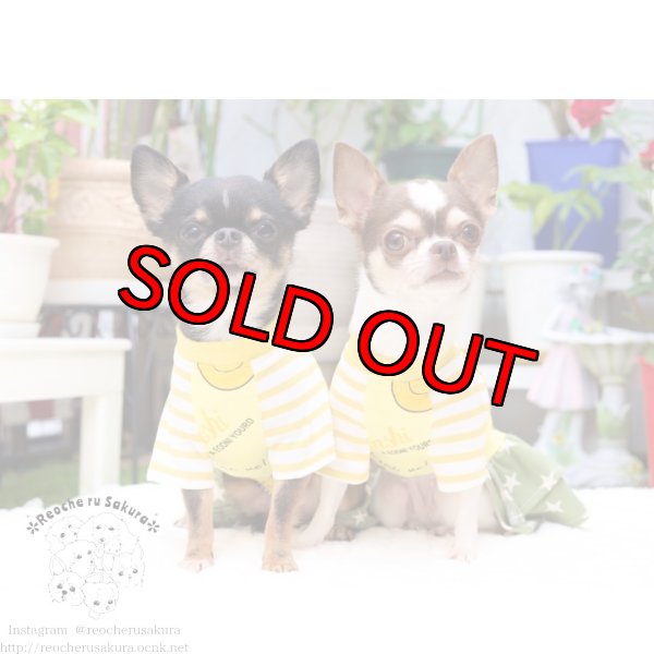 画像7: Smileyペアルック (7)