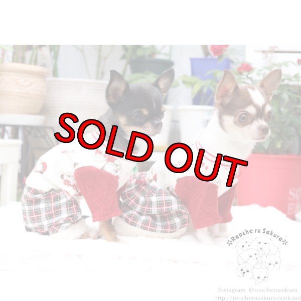 画像9: 冬の仲間たち🐰🐻ペアルック🎄🎁🎅🌟 (9)