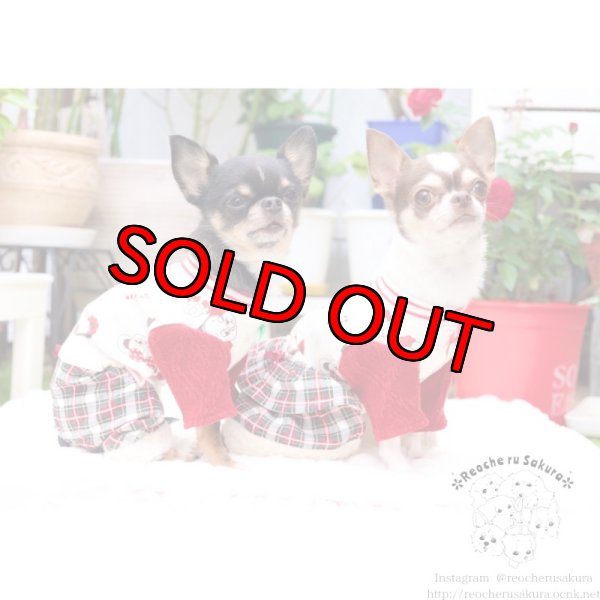 画像7: 冬の仲間たち🐰🐻ペアルック🎄🎁🎅🌟 (7)