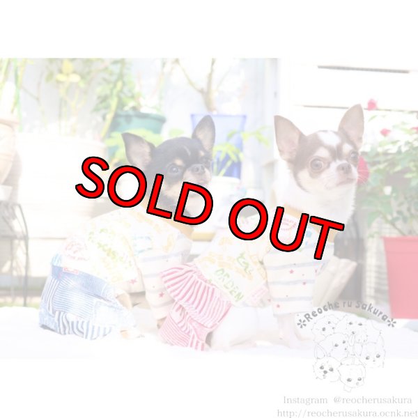 画像9: 【名入れ】POPカジュアルペアルック (9)