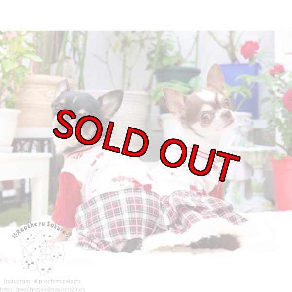 画像5: 冬の仲間たち🐰🐻ペアルック🎄🎁🎅🌟 (5)