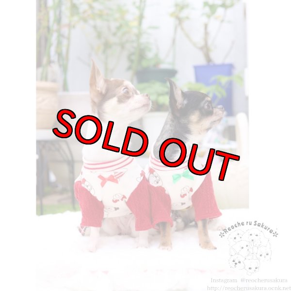 画像13: 冬の仲間たち🐰🐻ペアルック🎄🎁🎅🌟 (13)