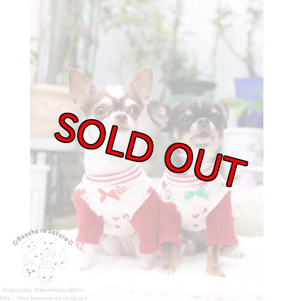 画像8: 冬の仲間たち🐰🐻ペアルック🎄🎁🎅🌟 (8)