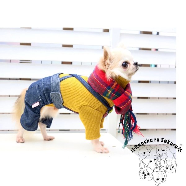 画像31: タートルニット (31)