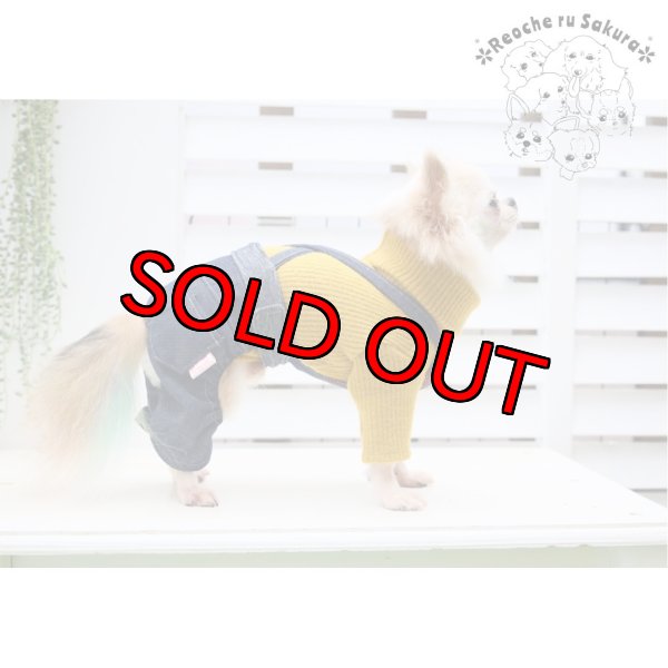 画像17: デニムサロペットパンツ&スカート (17)