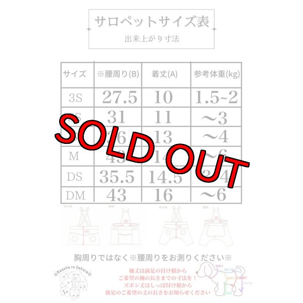 画像10: デニムサロペットパンツ&スカート (10)