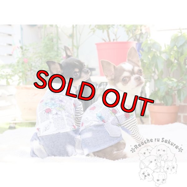 画像7: 英字てんとう虫アランペアルック (7)