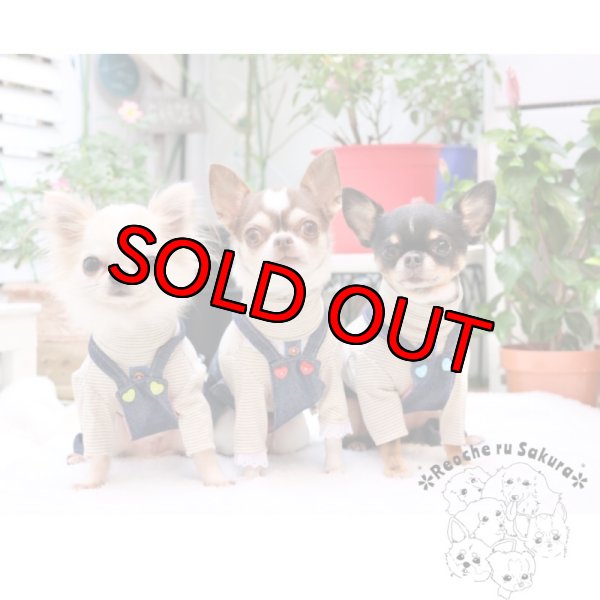 画像9: デニムサロペットパンツ&スカート (9)