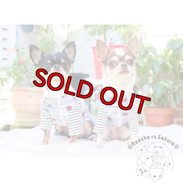 画像5: 英字てんとう虫アランペアルック (5)