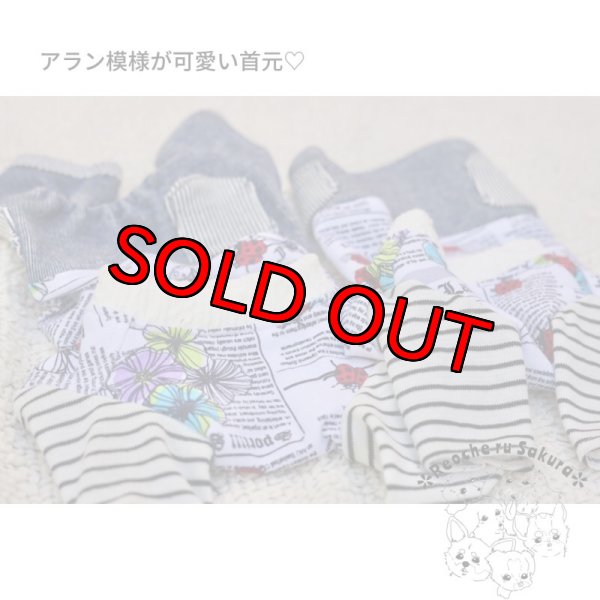 画像6: 英字てんとう虫アランペアルック (6)