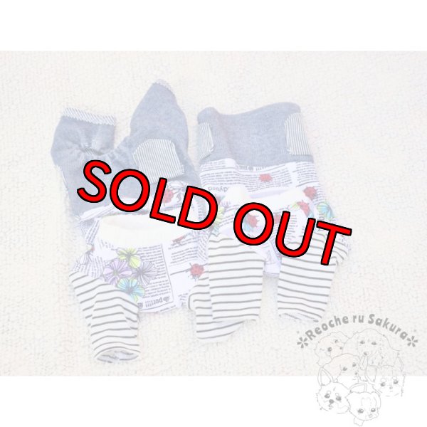 画像9: 英字てんとう虫アランペアルック (9)