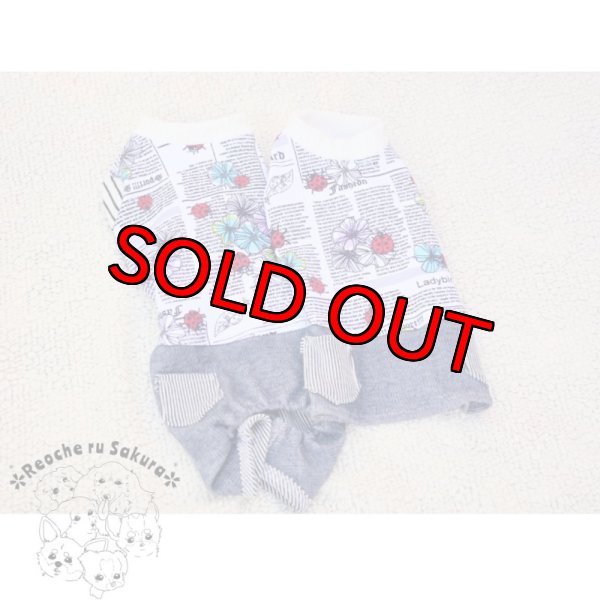 画像8: 英字てんとう虫アランペアルック (8)