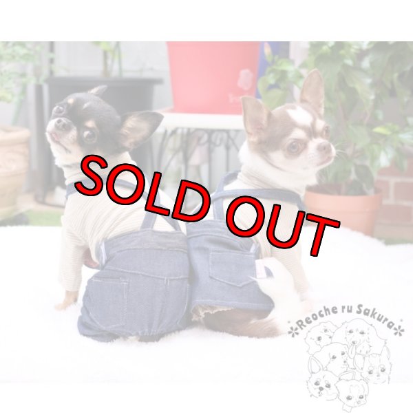 画像6: デニムサロペットパンツ&スカート (6)