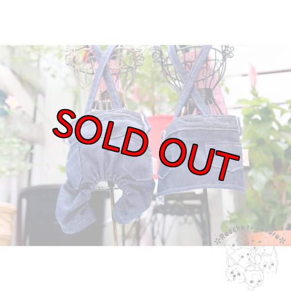 画像2: デニムサロペットパンツ&スカート (2)