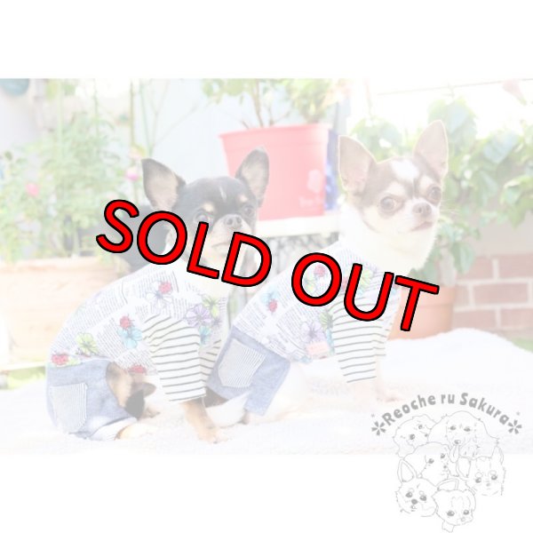 画像4: 英字てんとう虫アランペアルック (4)