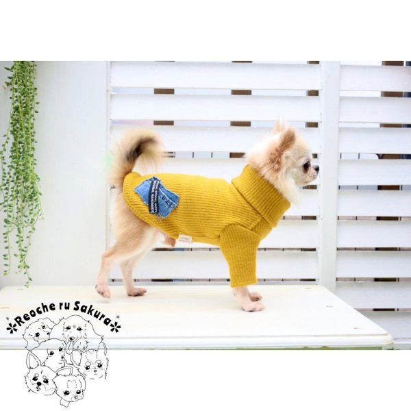 画像28: タートルニット (28)