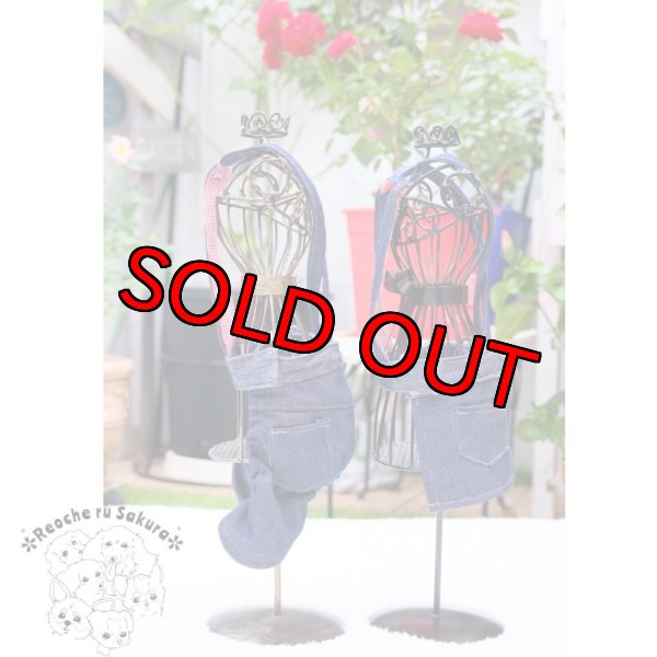 画像12: デニムサロペットパンツ&スカート (12)