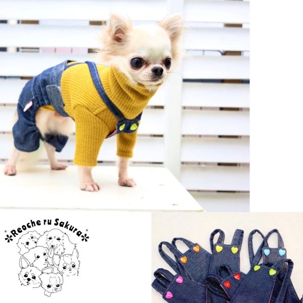 画像29: タートルニット (29)