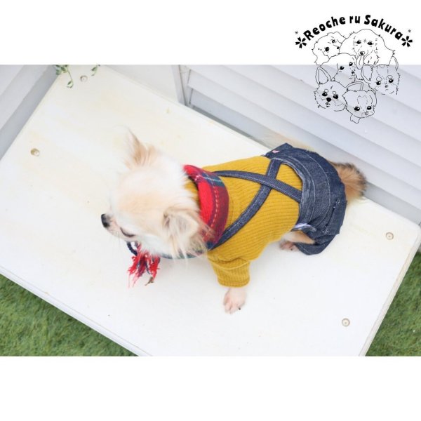 画像30: タートルニット (30)