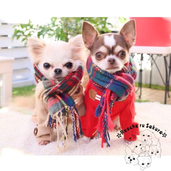 画像8: わんこマフラー (8)