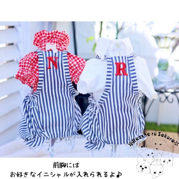 画像5: 【通年着用可】ヒッコリーバルーン (5)