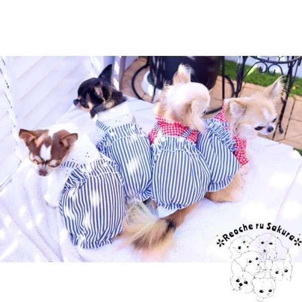 画像31: 【通年着用可】ヒッコリーバルーン (31)