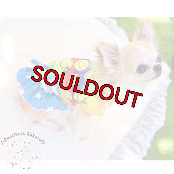 画像6: スマイルRainbow🌈ᵕ̈* 春夏2023 (6)