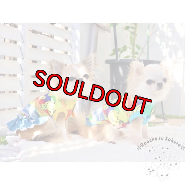 画像13: スマイルRainbow🌈ᵕ̈* 春夏2023 (13)