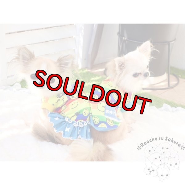 画像5: スマイルRainbow🌈ᵕ̈* 春夏2023 (5)