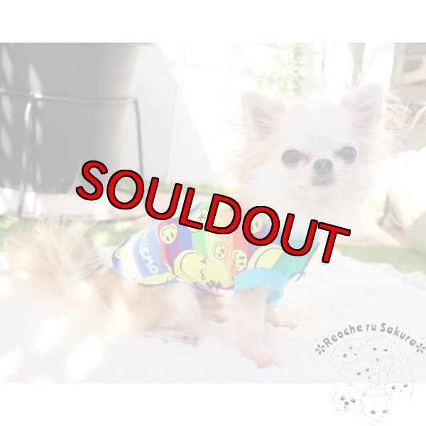 画像12: スマイルRainbow🌈ᵕ̈* 春夏2023 (12)