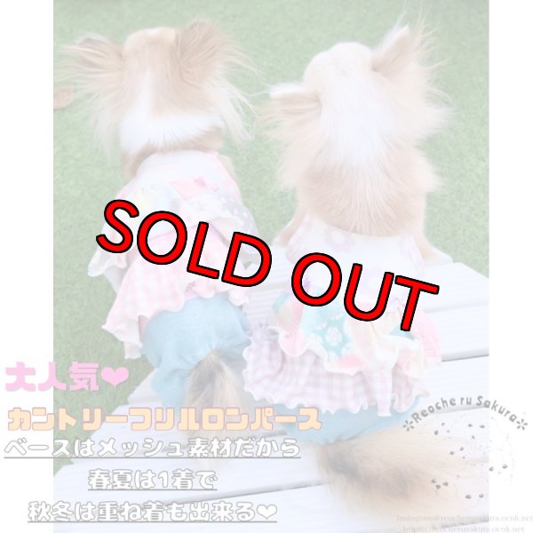 画像3: カントリーフリルキャミロンパース(リニューアルver) (3)