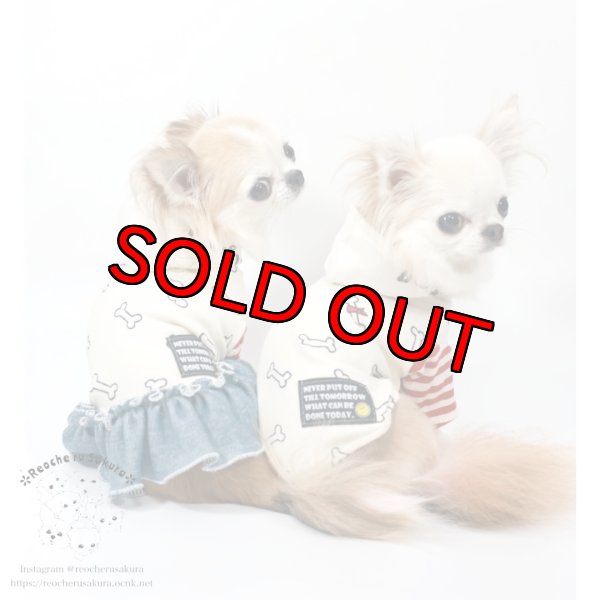 画像2: ボーンペアルック (2)